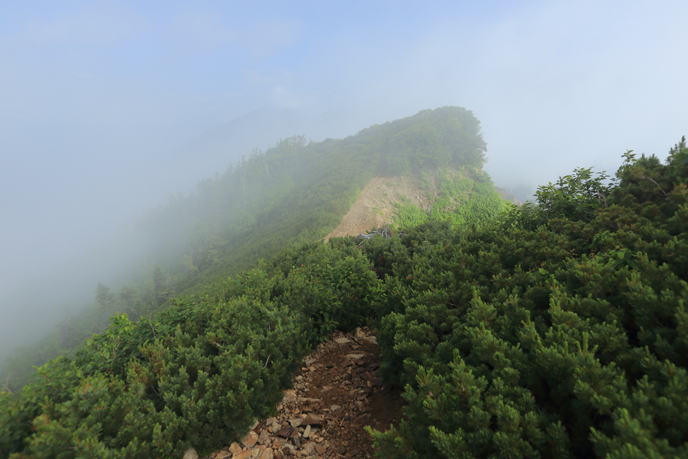 日本:後立山連峰之5~爺ヶ岳與種池山莊 日本:後立山連峰之5~爺ヶ岳與種池山莊