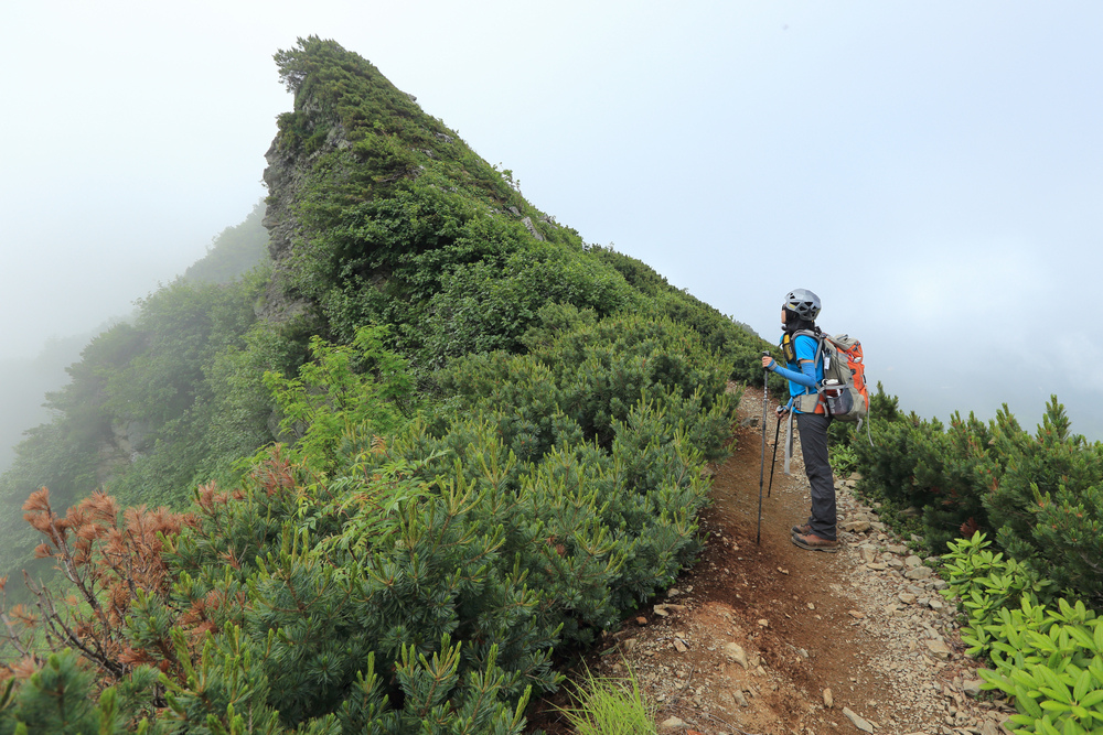 日本:後立山連峰之5~爺ヶ岳與種池山莊