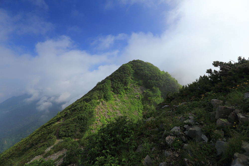 日本:後立山連峰之5~爺ヶ岳與種池山莊