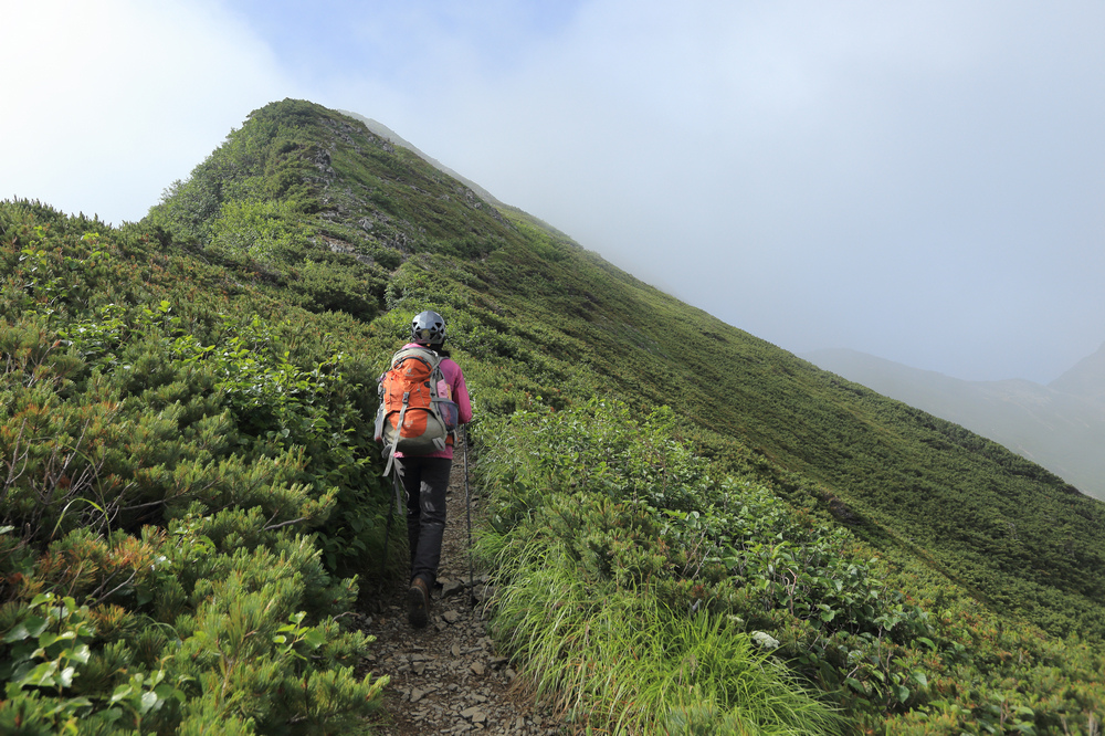 日本:後立山連峰之5~爺ヶ岳與種池山莊 日本:後立山連峰之5~爺ヶ岳與種池山莊