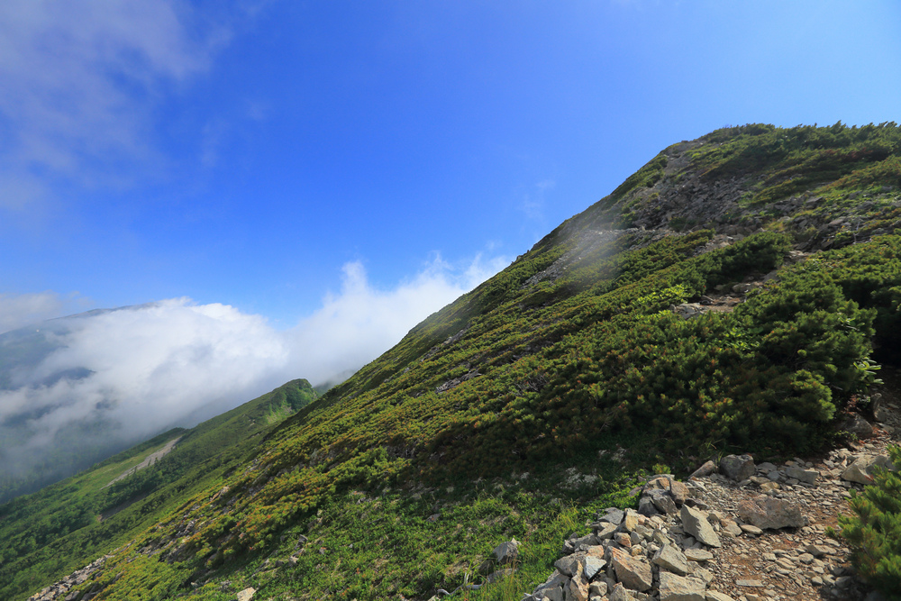 日本:後立山連峰之5~爺ヶ岳與種池山莊 日本:後立山連峰之5~爺ヶ岳與種池山莊