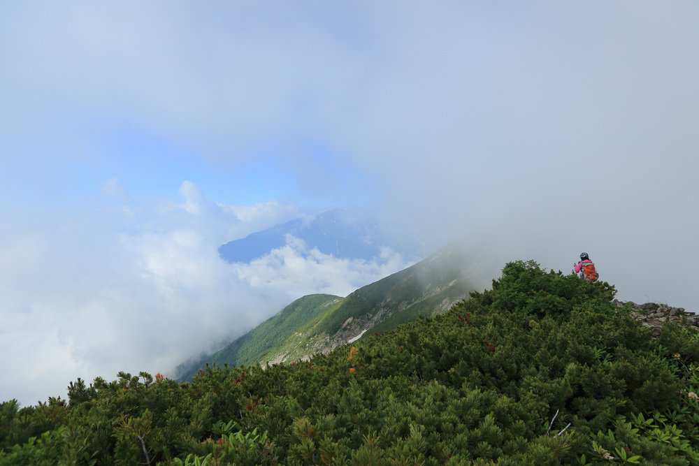 日本:後立山連峰之5~爺ヶ岳與種池山莊