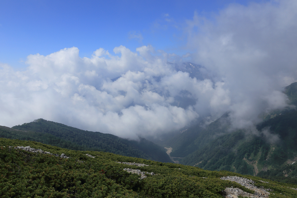 日本:後立山連峰之5~爺ヶ岳與種池山莊 日本:後立山連峰之5~爺ヶ岳與種池山莊