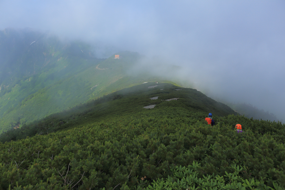 日本:後立山連峰之5~爺ヶ岳與種池山莊 日本:後立山連峰之5~爺ヶ岳與種池山莊