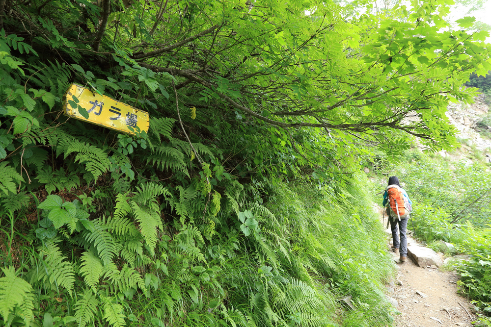 日本:後立山連峰之5~爺ヶ岳與種池山莊