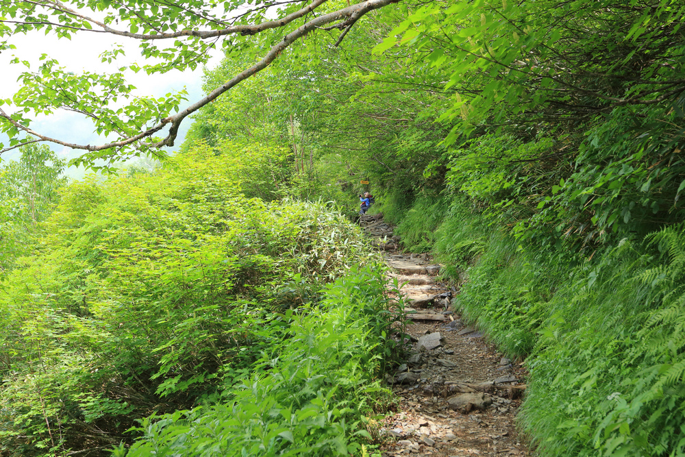 日本:後立山連峰之5~爺ヶ岳與種池山莊