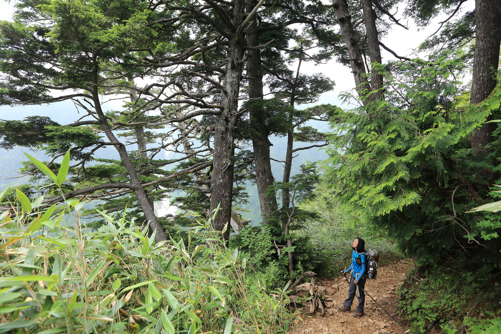 日本:後立山連峰之5~爺ヶ岳與種池山莊