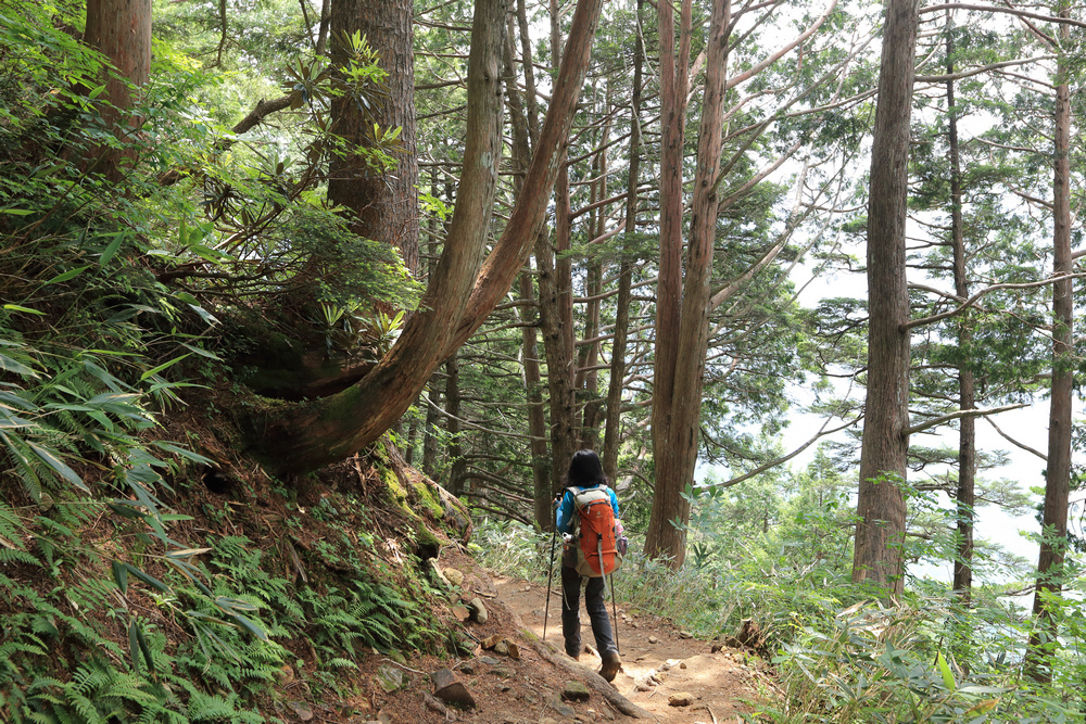 日本:後立山連峰之5~爺ヶ岳與種池山莊 日本:後立山連峰之5~爺ヶ岳與種池山莊