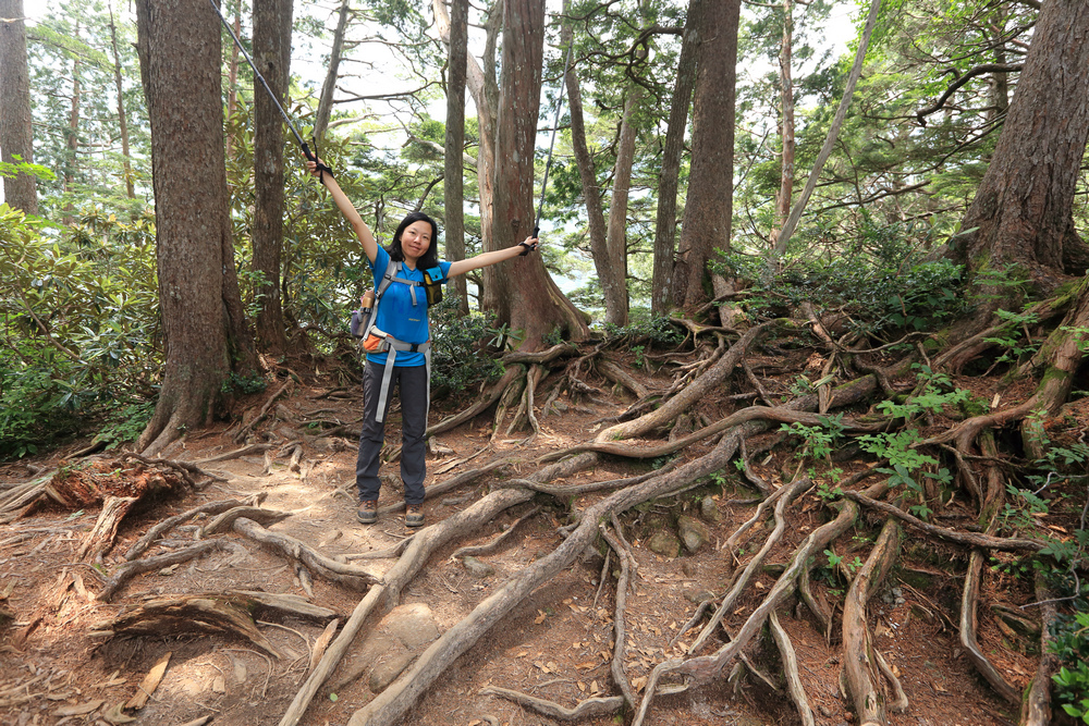 日本:後立山連峰之5~爺ヶ岳與種池山莊 日本:後立山連峰之5~爺ヶ岳與種池山莊