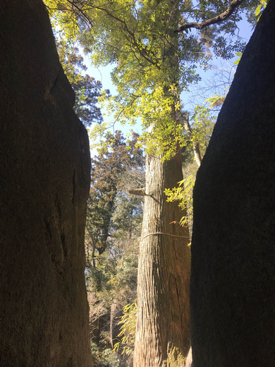 日本茨城:筑波山