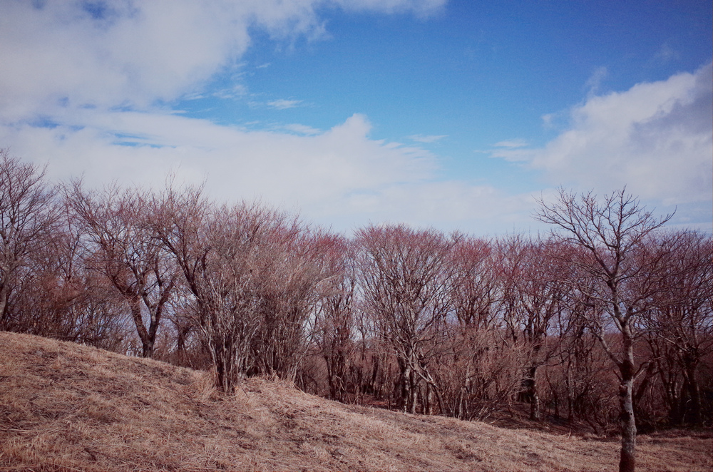 日本九州:鶴見岳 日本九州:鶴見岳