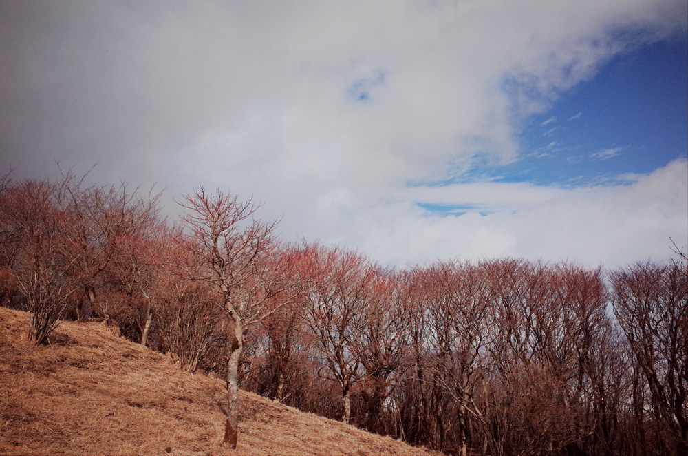 日本九州:鶴見岳 日本九州:鶴見岳