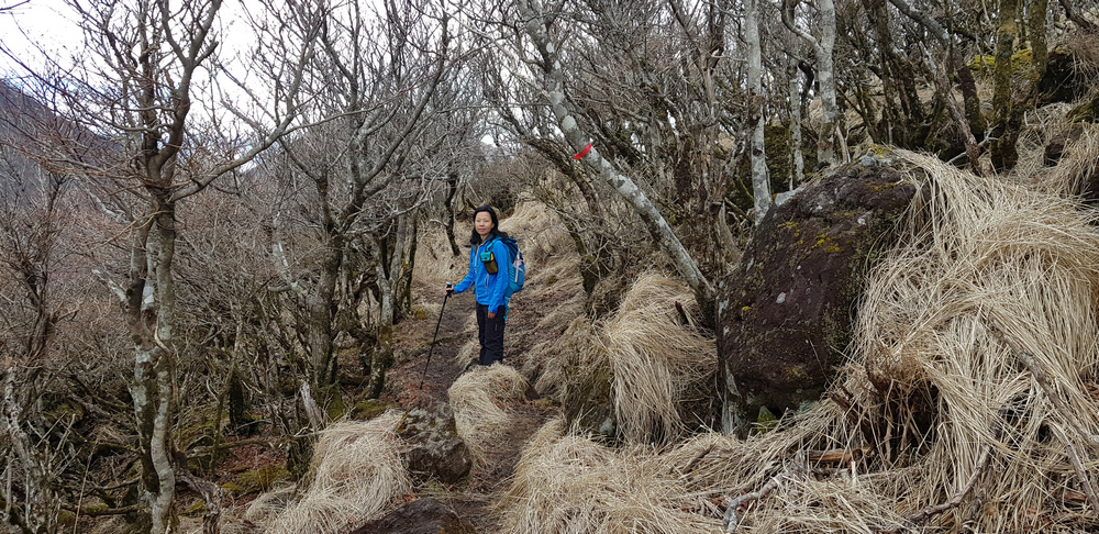 日本九州:鶴見岳 日本九州:鶴見岳