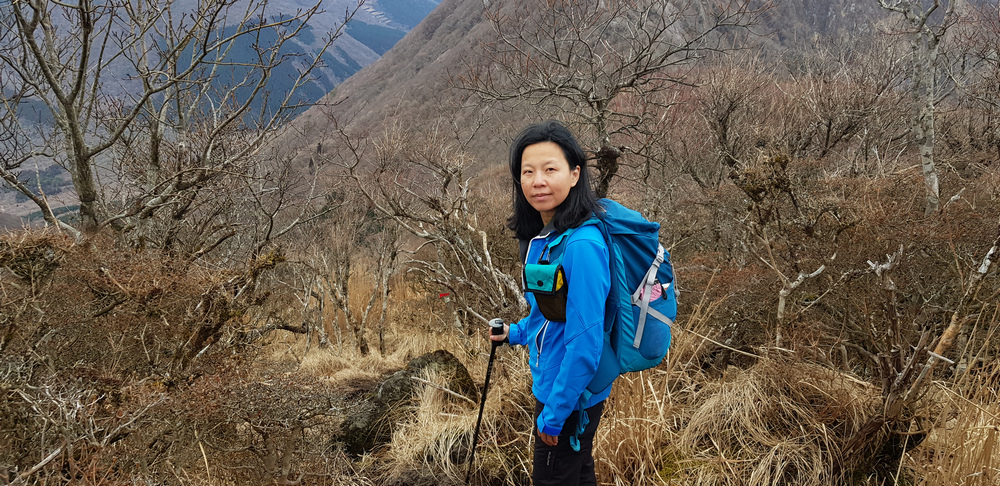 日本九州:鶴見岳 日本九州:鶴見岳