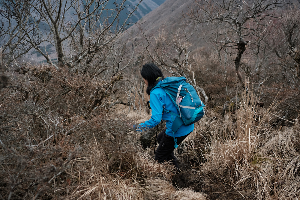 日本九州:鶴見岳 日本九州:鶴見岳
