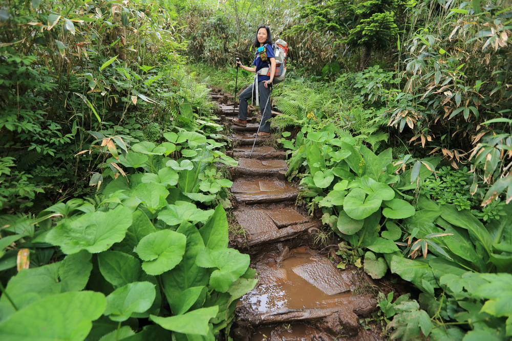 日本：後立山連峰之6～從栂池登山口上白馬大池