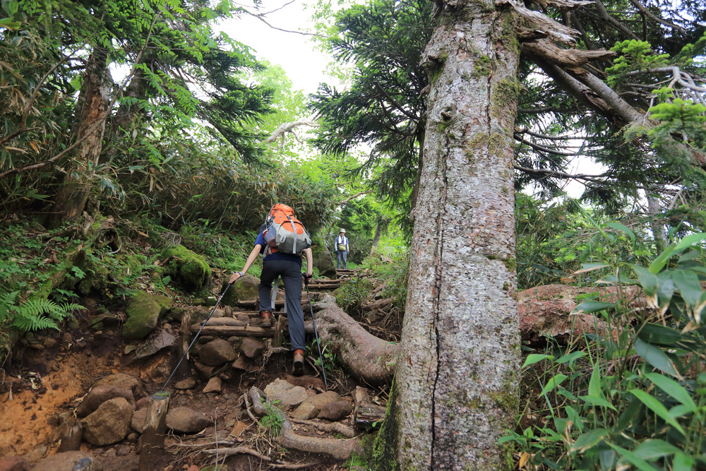 日本：後立山連峰之6～從栂池登山口上白馬大池