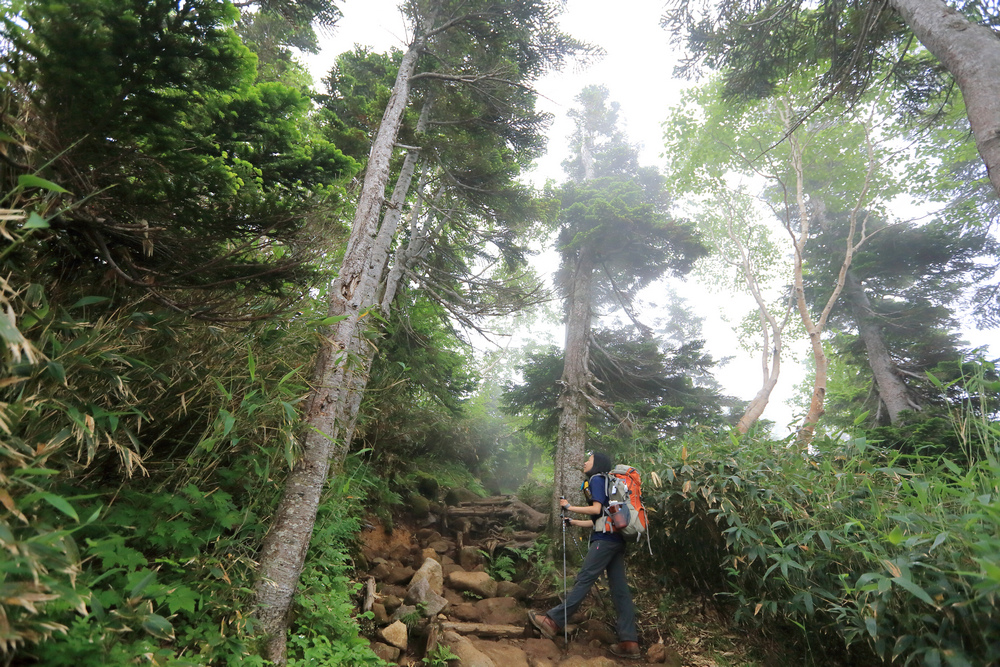 日本：後立山連峰之6～從栂池登山口上白馬大池