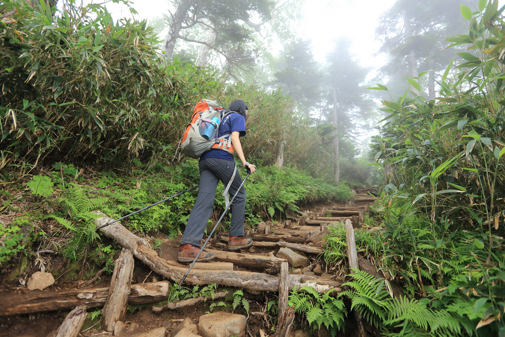 日本：後立山連峰之6～從栂池登山口上白馬大池