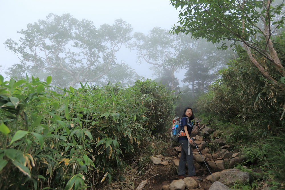 日本：後立山連峰之6～從栂池登山口上白馬大池
