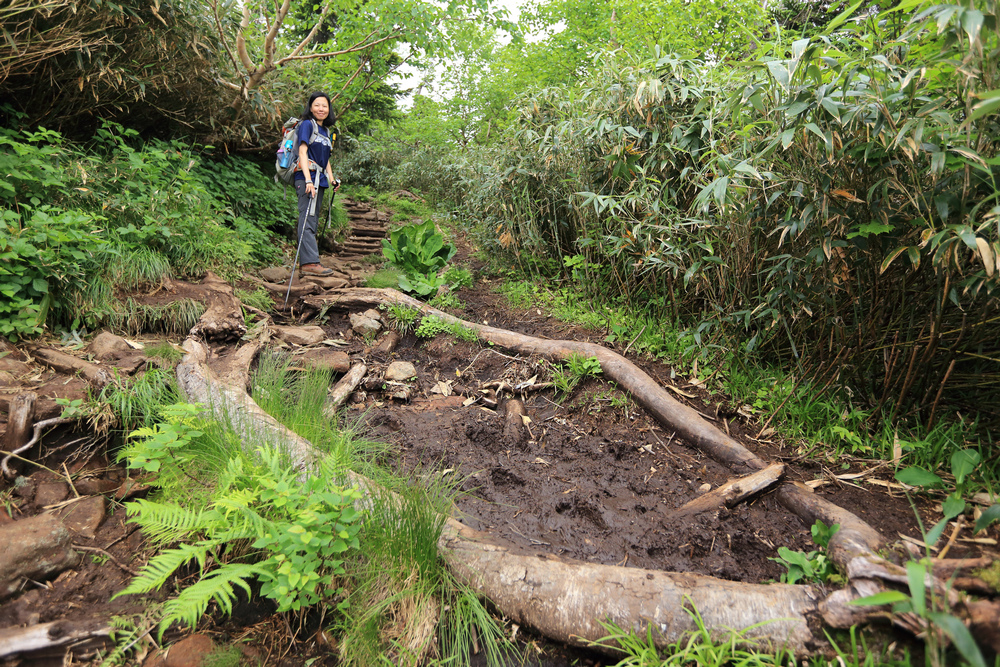 日本：後立山連峰之6～從栂池登山口上白馬大池