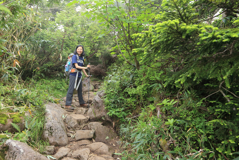 日本：後立山連峰之6～從栂池登山口上白馬大池