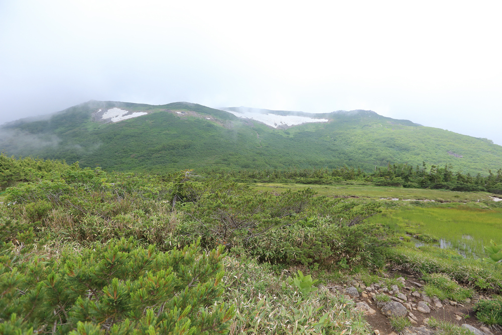 日本：後立山連峰之6～從栂池登山口上白馬大池