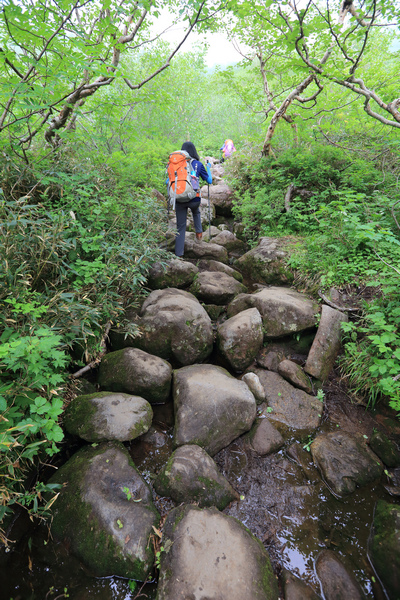 日本：後立山連峰之6～從栂池登山口上白馬大池