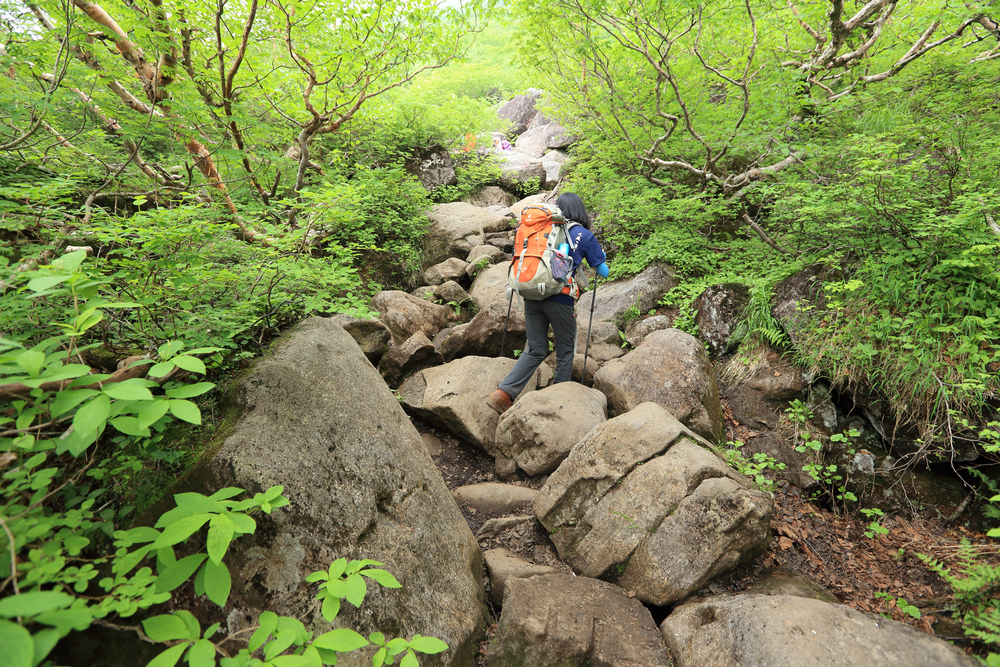 日本：後立山連峰之6～從栂池登山口上白馬大池