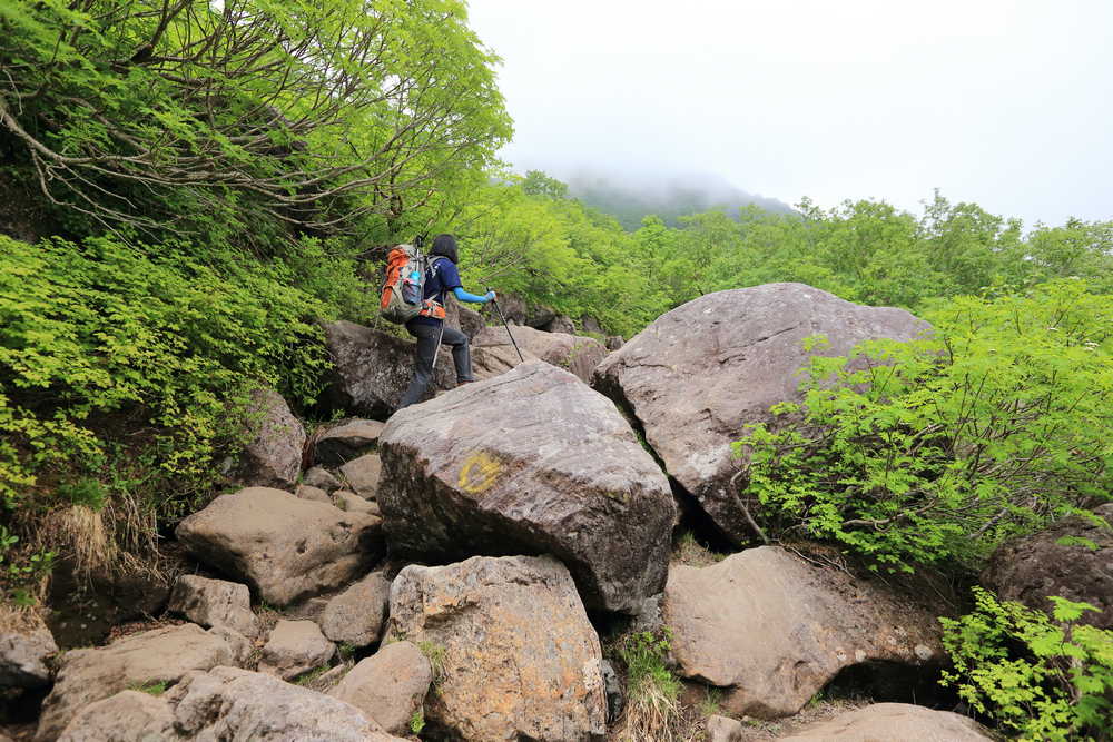 日本：後立山連峰之6～從栂池登山口上白馬大池