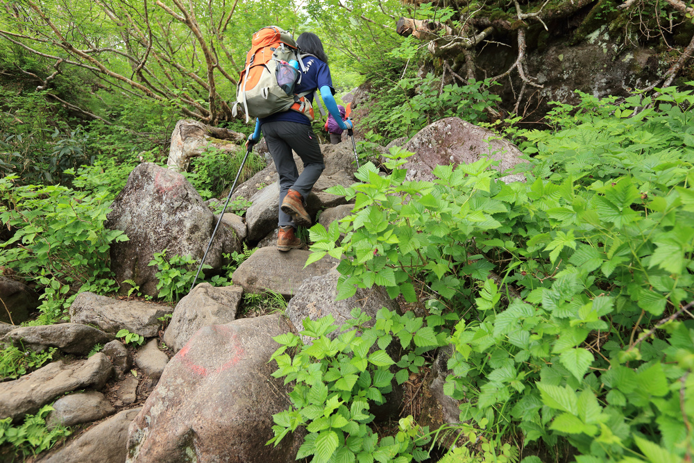 日本：後立山連峰之6～從栂池登山口上白馬大池