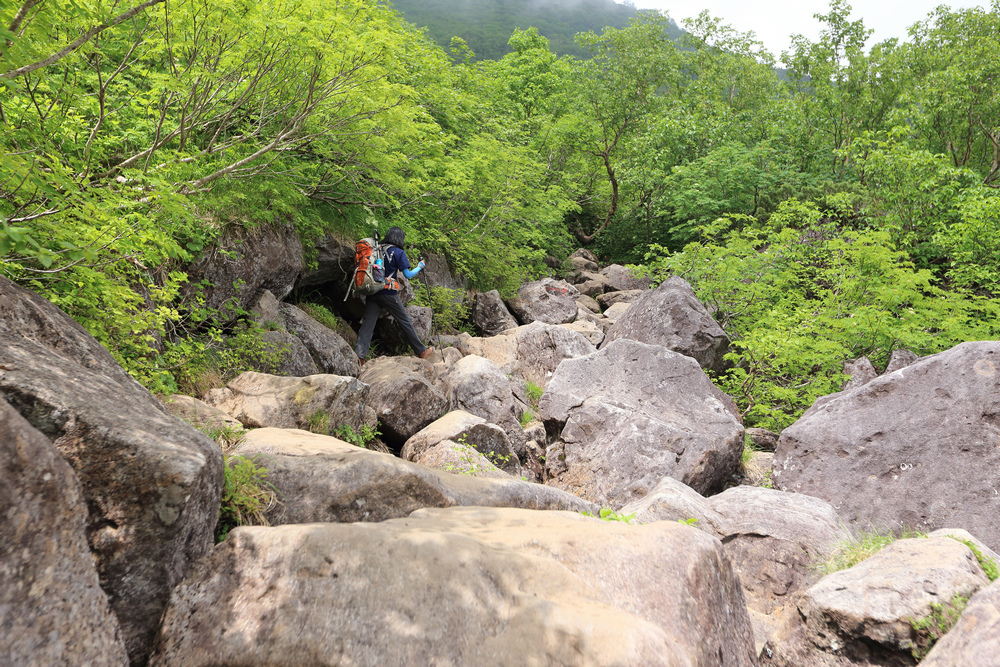 日本：後立山連峰之6～從栂池登山口上白馬大池