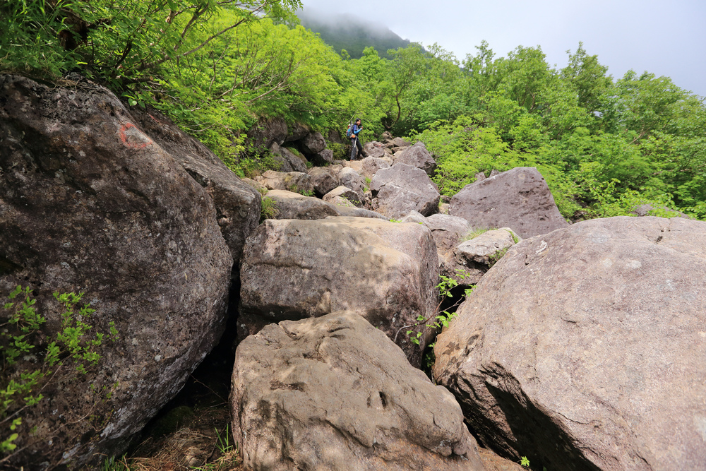 日本：後立山連峰之6～從栂池登山口上白馬大池
