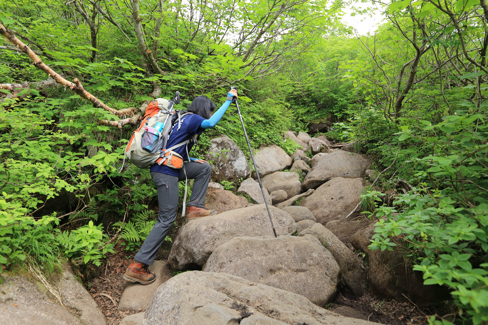 日本：後立山連峰之6～從栂池登山口上白馬大池