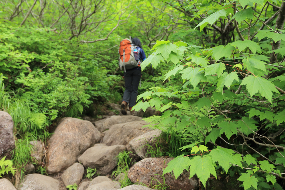 日本：後立山連峰之6～從栂池登山口上白馬大池