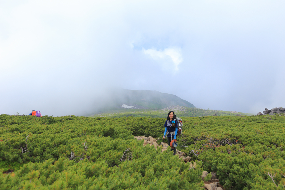 日本：後立山連峰之6～從栂池登山口上白馬大池