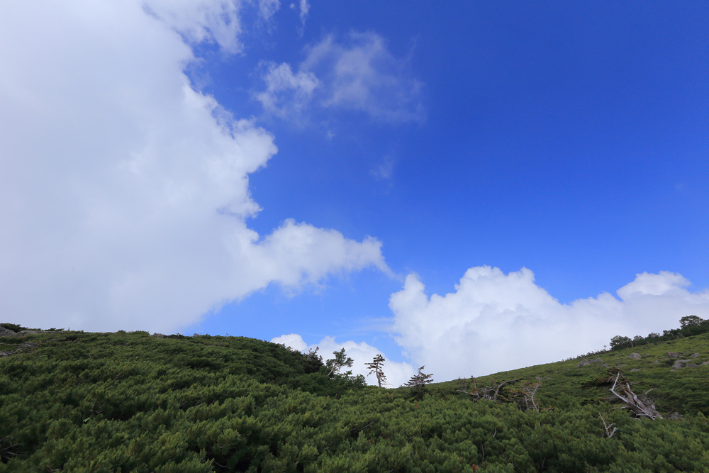 日本：後立山連峰之6～從栂池登山口上白馬大池