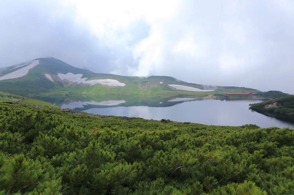 日本：後立山連峰之6～從栂池登山口上白馬大池