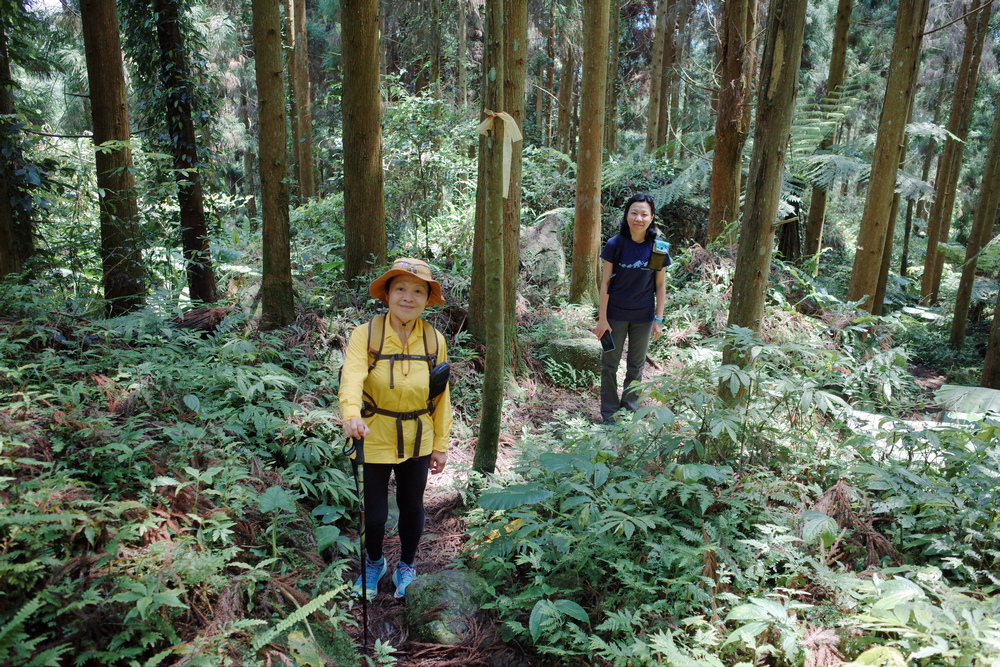 鵝公髻山與鵝公髻東北峰 鵝公髻山與鵝公髻東北峰