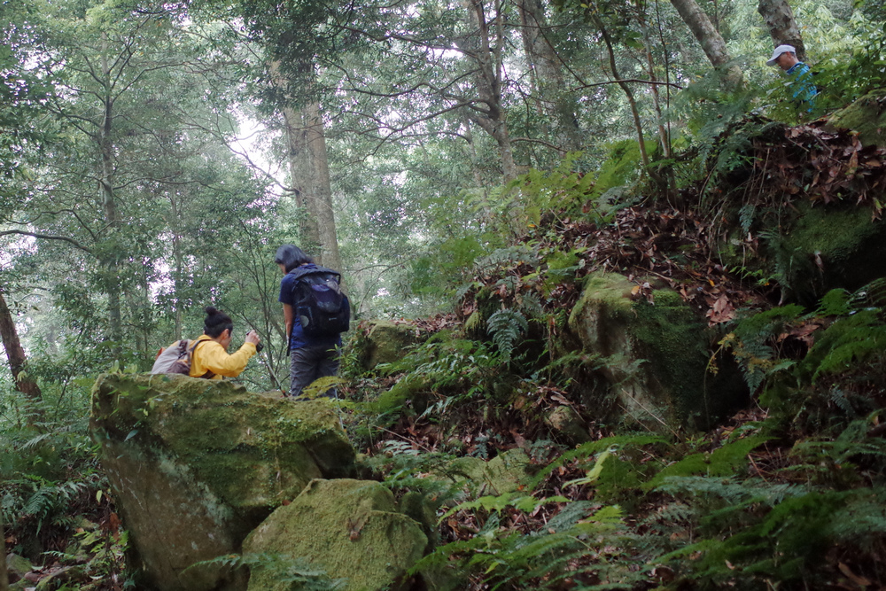 鵝公髻山與鵝公髻東北峰