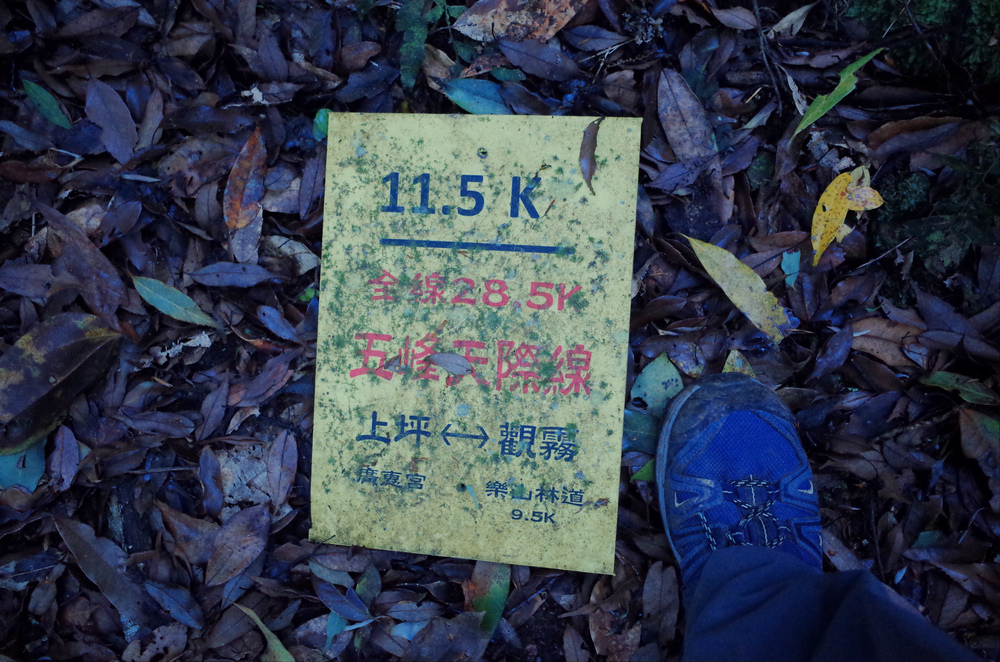 鵝公髻山與鵝公髻東北峰 鵝公髻山與鵝公髻東北峰