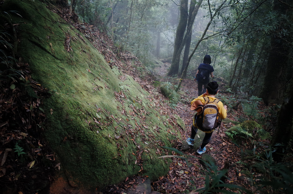 鵝公髻山與鵝公髻東北峰 鵝公髻山與鵝公髻東北峰