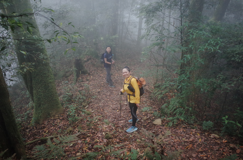 鵝公髻山與鵝公髻東北峰 鵝公髻山與鵝公髻東北峰