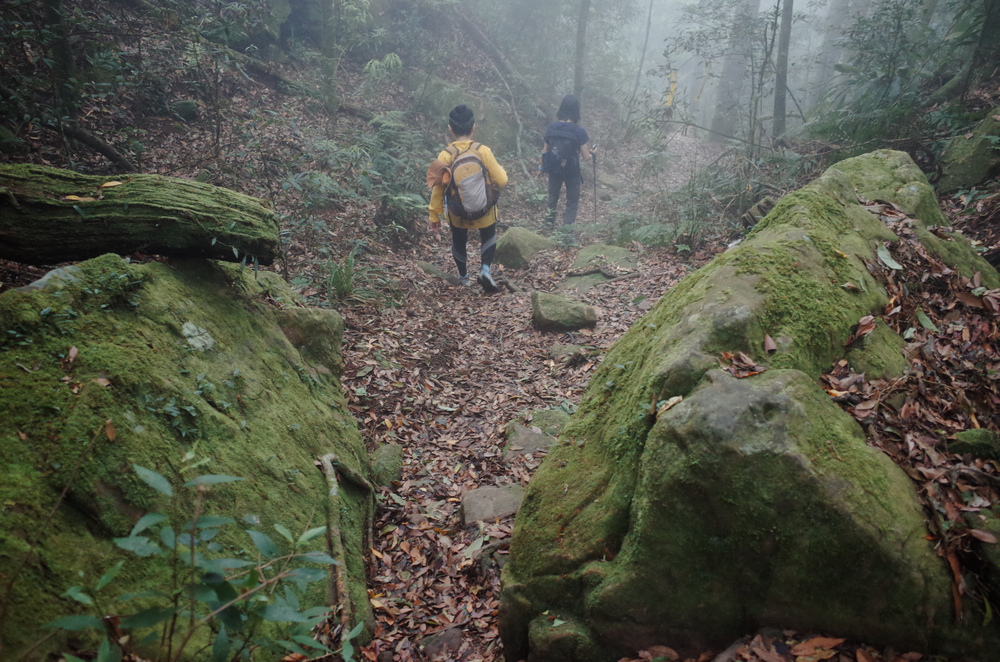 鵝公髻山與鵝公髻東北峰 鵝公髻山與鵝公髻東北峰