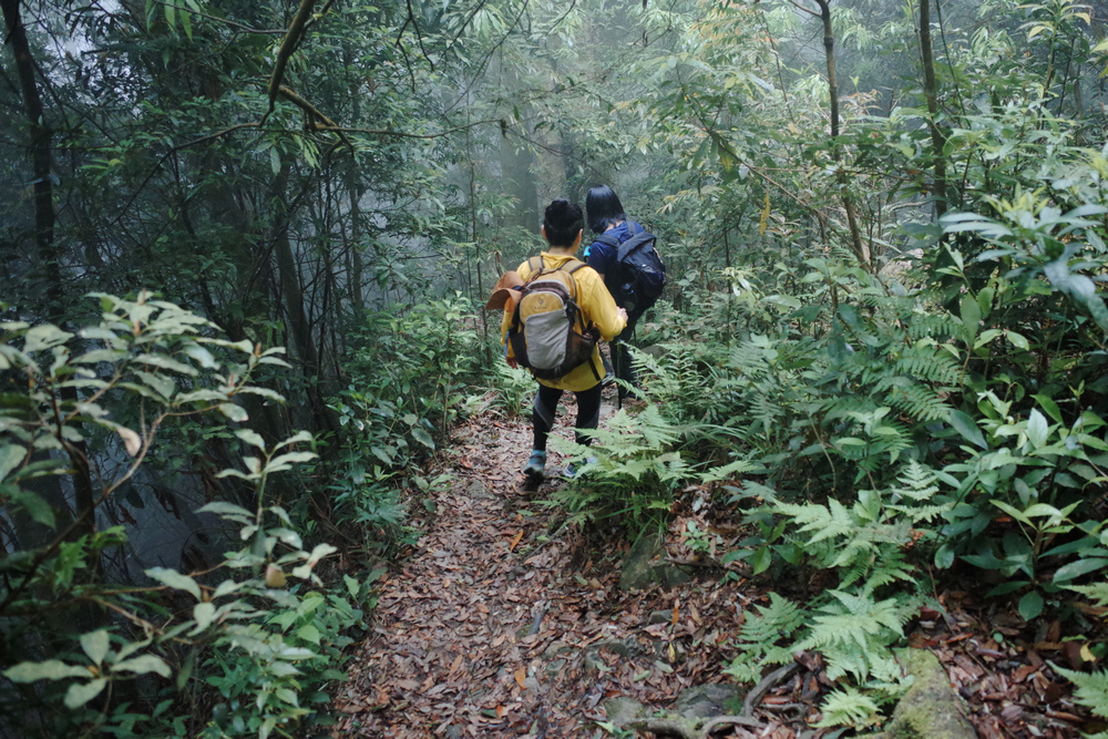 鵝公髻山與鵝公髻東北峰 鵝公髻山與鵝公髻東北峰