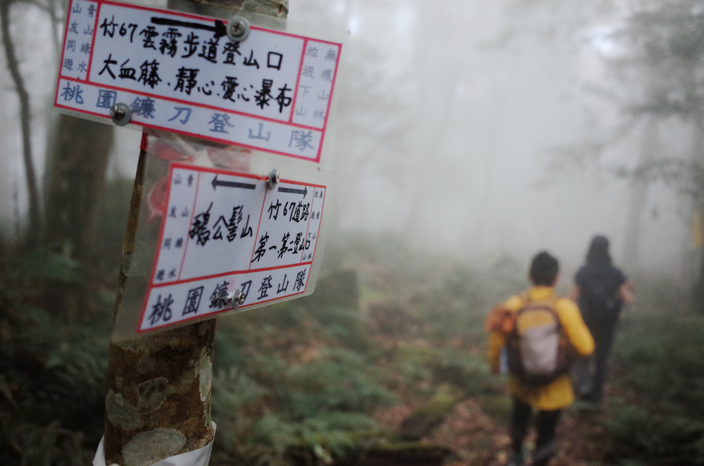 鵝公髻山與鵝公髻東北峰 鵝公髻山與鵝公髻東北峰