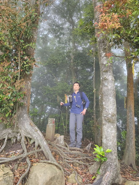 鵝公髻山與鵝公髻東北峰 鵝公髻山與鵝公髻東北峰
