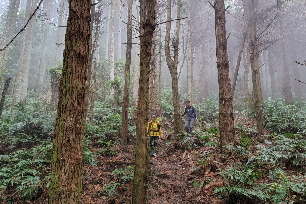 鵝公髻山與鵝公髻東北峰 鵝公髻山與鵝公髻東北峰