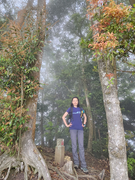 鵝公髻山與鵝公髻東北峰 鵝公髻山與鵝公髻東北峰