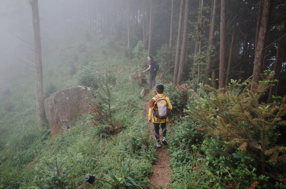 鵝公髻山與鵝公髻東北峰 鵝公髻山與鵝公髻東北峰